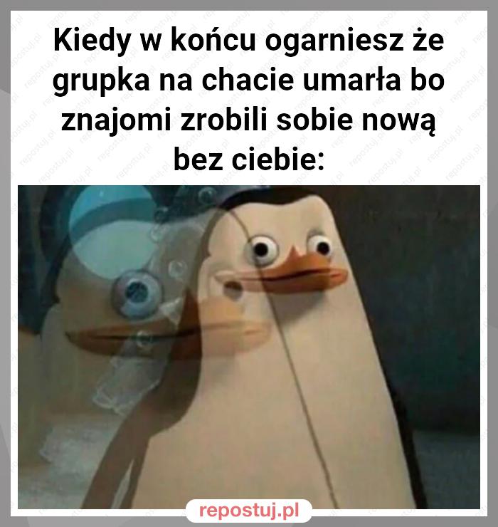 Kiedy w końcu ogarniesz że grupka na chacie umarła bo znajomi zrobili sobie nową bez ciebie: