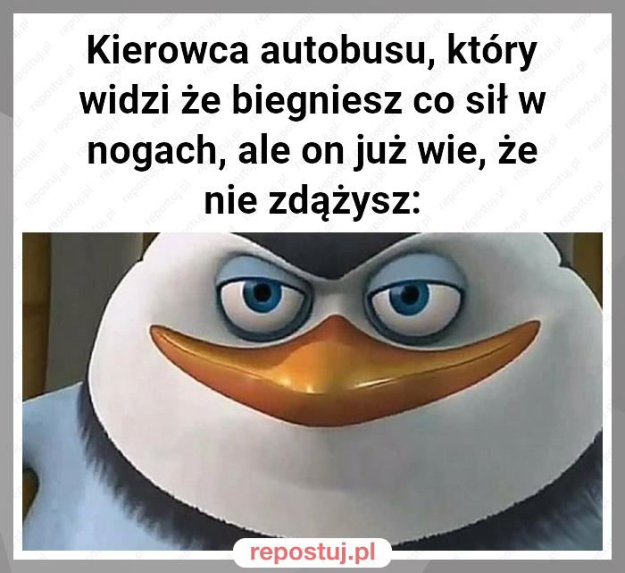 Kierowca autobusu, który widzi że biegniesz co sił w nogach, ale on już wie, że nie zdążysz: