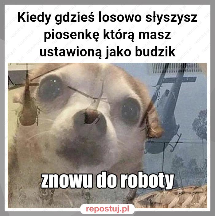 Kiedy gdzieś losowo słyszysz piosenkę którą masz ustawioną jako budzik