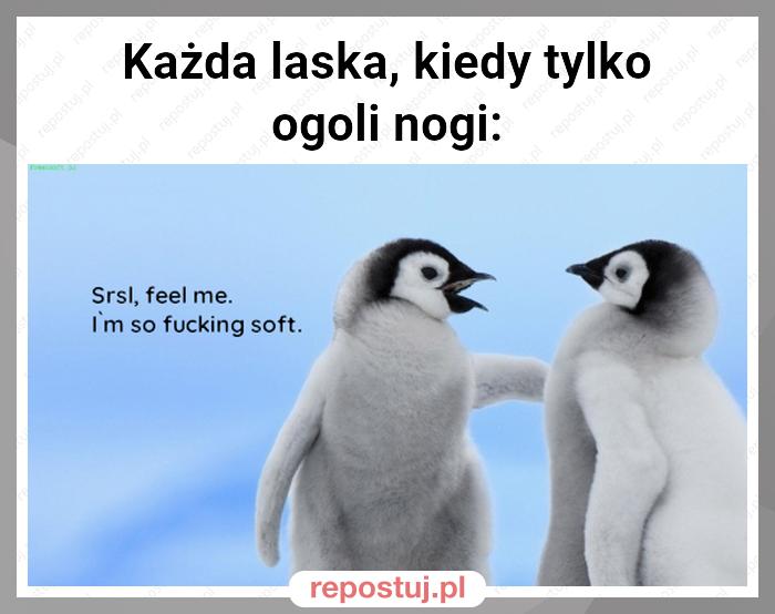 Każda laska, kiedy tylko ogoli nogi: