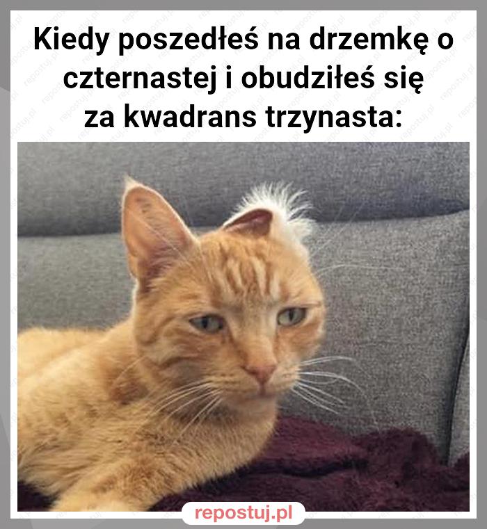 Kiedy poszedłeś na drzemkę o czternastej i obudziłeś się za kwadrans trzynasta: