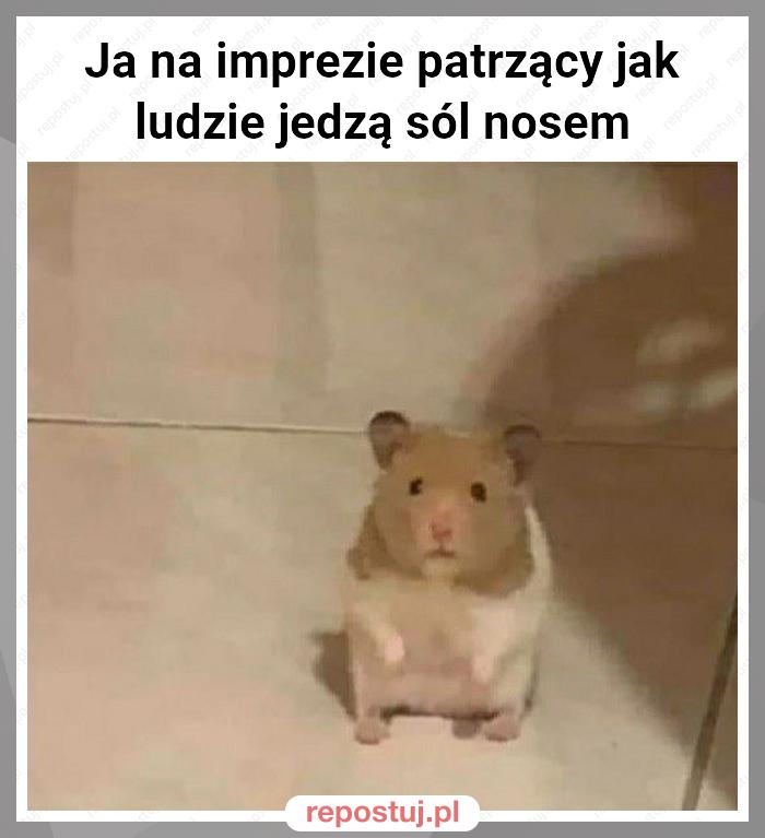 Ja na imprezie patrzący jak ludzie jedzą sól nosem