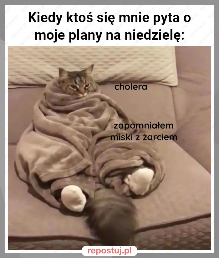 Kiedy ktoś się mnie pyta o moje plany na niedzielę: