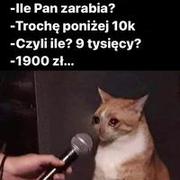 Zarabianie