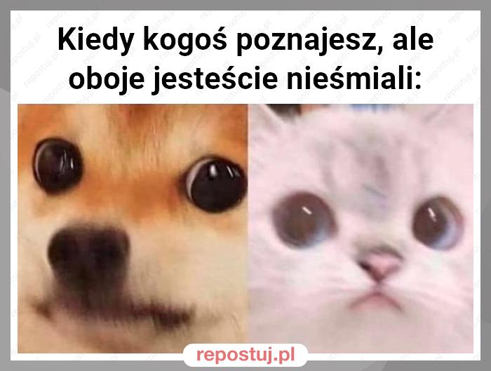 Kiedy kogoś poznajesz, ale oboje jesteście nieśmiali: