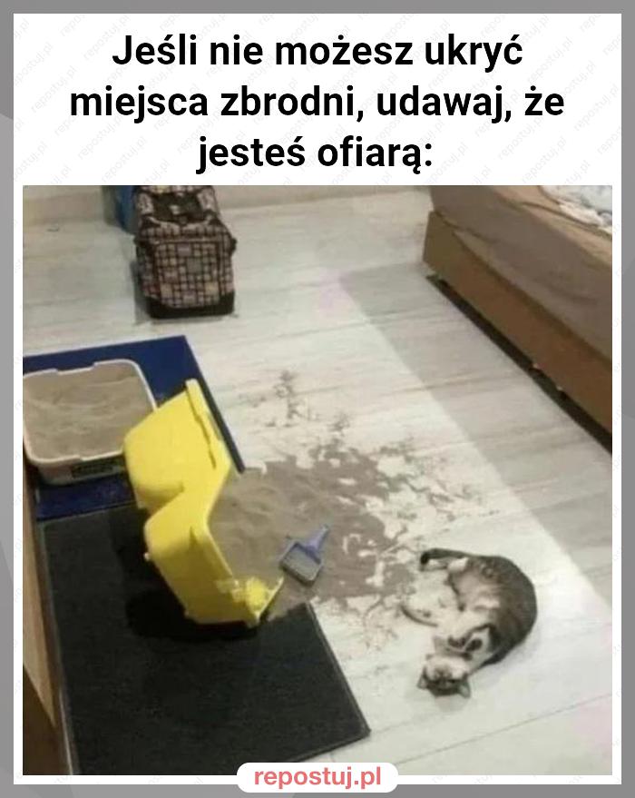 Jeśli nie możesz ukryć miejsca zbrodni, udawaj, że jesteś ofiarą: