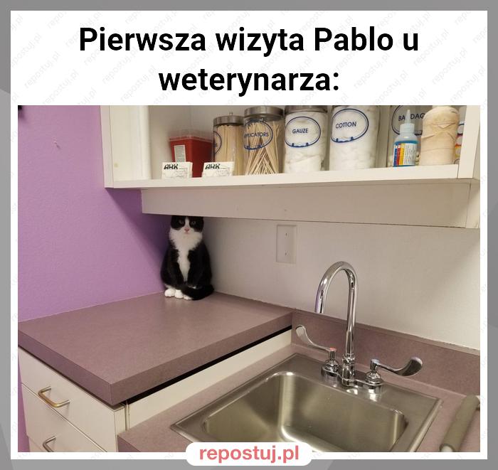 Pierwsza wizyta Pablo u weterynarza: