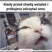 Klasyk xDDD