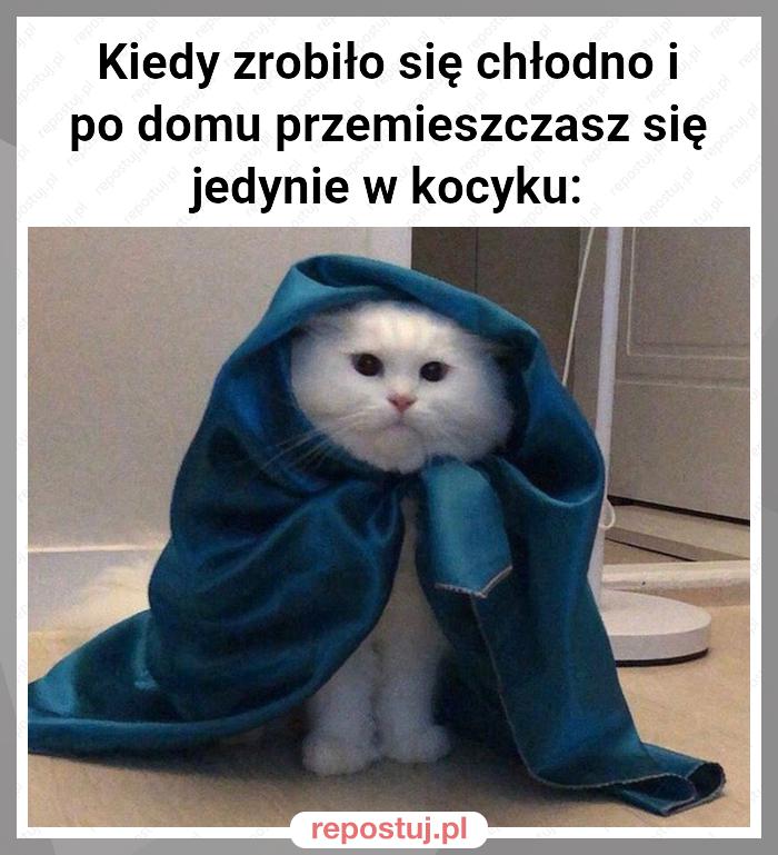 Kiedy zrobiło się chłodno i po domu przemieszczasz się jedynie w kocyku: