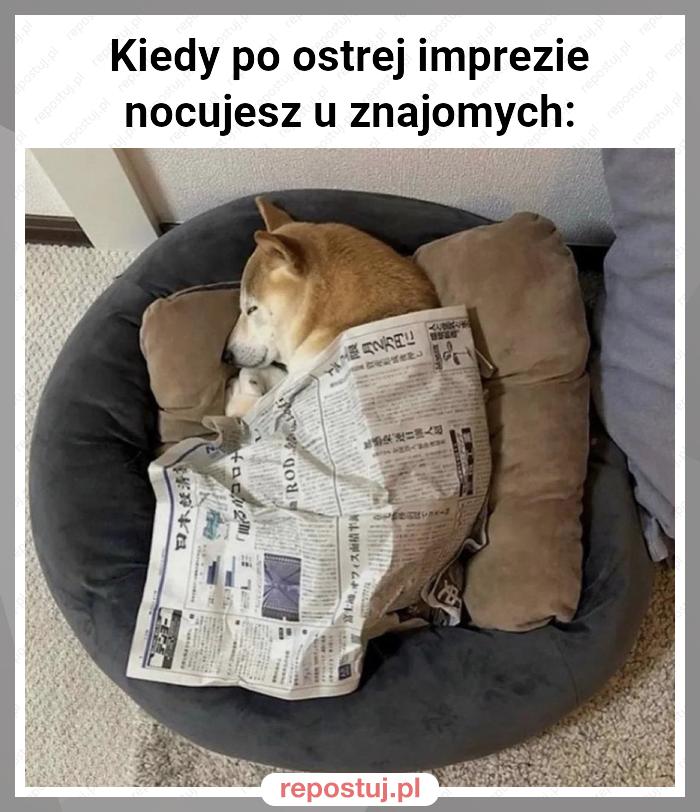 Kiedy po ostrej imprezie nocujesz u znajomych: