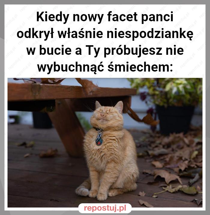 Kiedy nowy facet panci odkrył właśnie niespodziankę w bucie a Ty próbujesz nie wybuchnąć śmiechem: