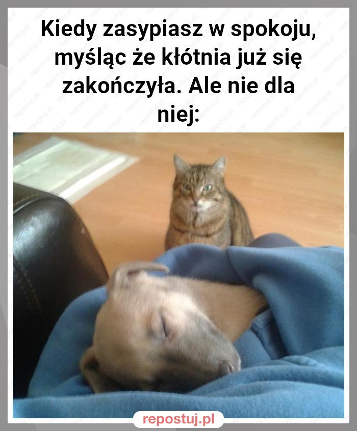 Kiedy zasypiasz w spokoju, myśląc że kłótnia już się zakończyła. Ale nie dla niej: