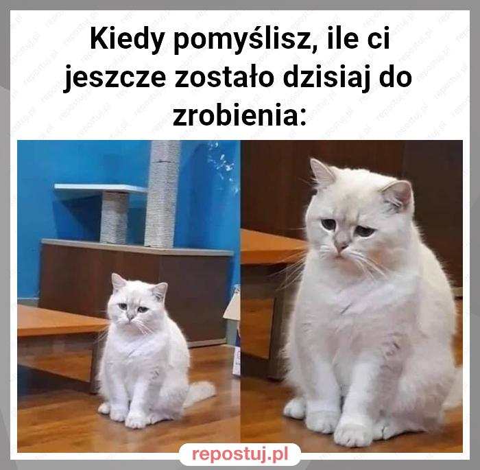 Kiedy pomyślisz, ile ci jeszcze zostało dzisiaj do zrobienia: