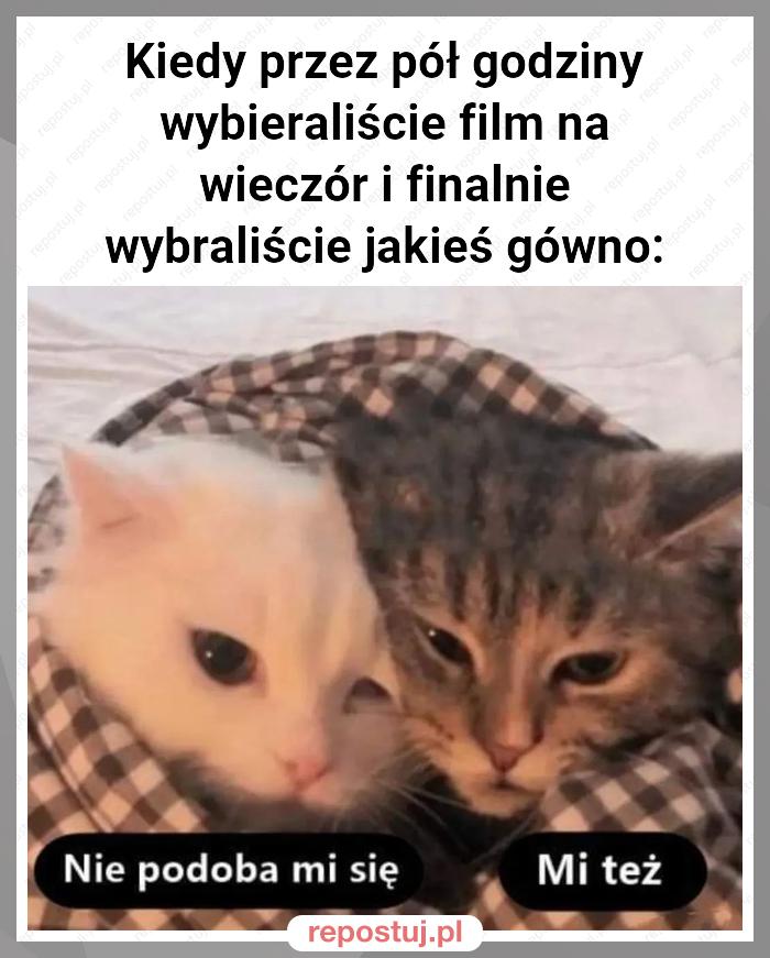 Kiedy przez pół godziny wybieraliście film na wieczór i finalnie wybraliście jakieś gówno: