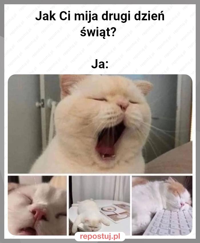 Jak Ci mija drugi dzień świąt?

Ja: