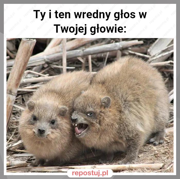 Ty i ten wredny głos w Twojej głowie: