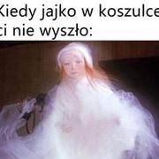 Jajko w koszulce