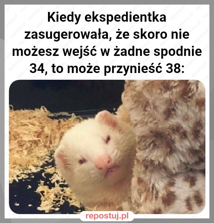 Kiedy ekspedientka zasugerowała, że skoro nie możesz wejść w żadne spodnie 34, to może przynieść 38: