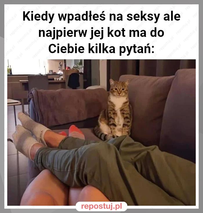 Kiedy wpadłeś na seksy ale najpierw jej kot ma do Ciebie kilka pytań: