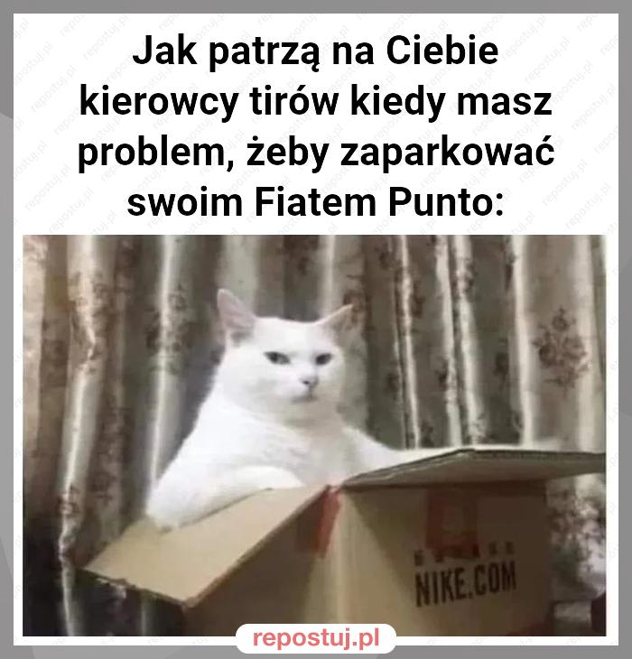 Jak patrzą na Ciebie kierowcy tirów kiedy masz problem, żeby zaparkować swoim Fiatem Punto: