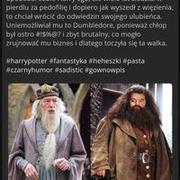 Harry Potter - a co jeśli Dumbledore i Hagrid to dwa stare zb*ki?