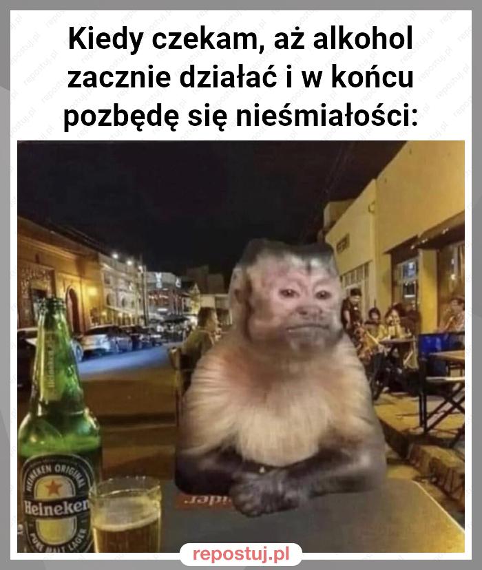 Kiedy czekam, aż alkohol zacznie działać i w końcu pozbędę się nieśmiałości: