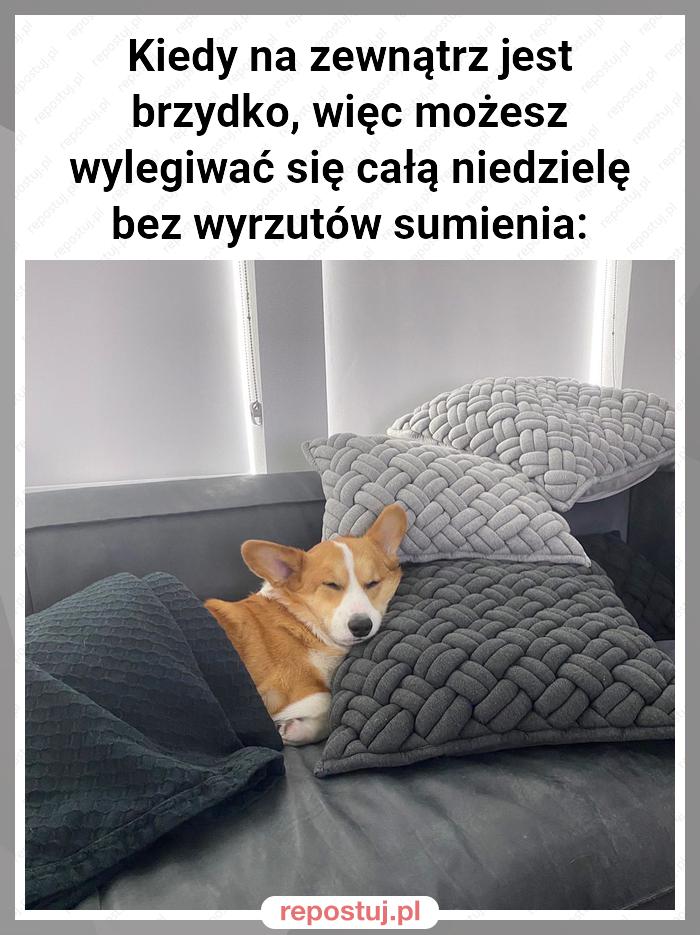 Kiedy na zewnątrz jest brzydko, więc możesz wylegiwać się całą niedzielę bez wyrzutów sumienia: