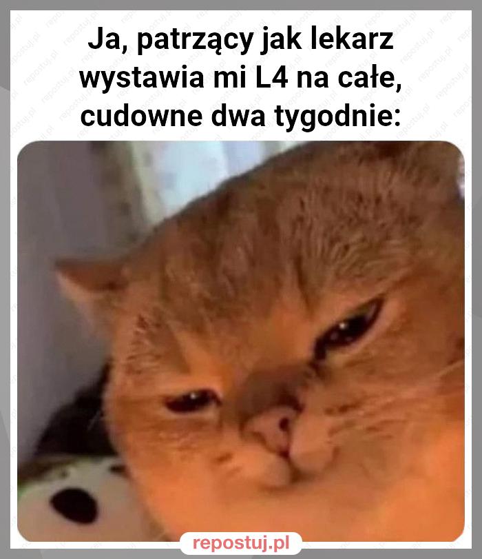 Ja, patrzący jak lekarz wystawia mi L4 na całe, cudowne dwa tygodnie: