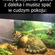 Najgorzej xD