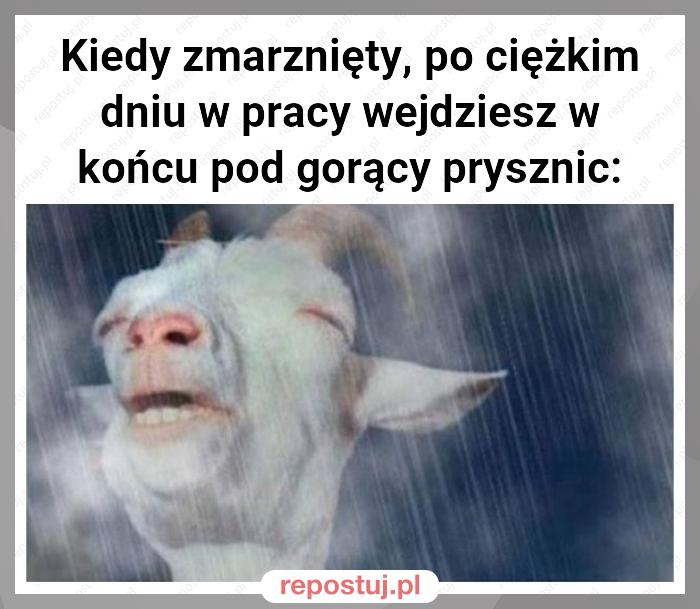 Kiedy zmarznięty, po ciężkim dniu w pracy wejdziesz w końcu pod gorący prysznic: