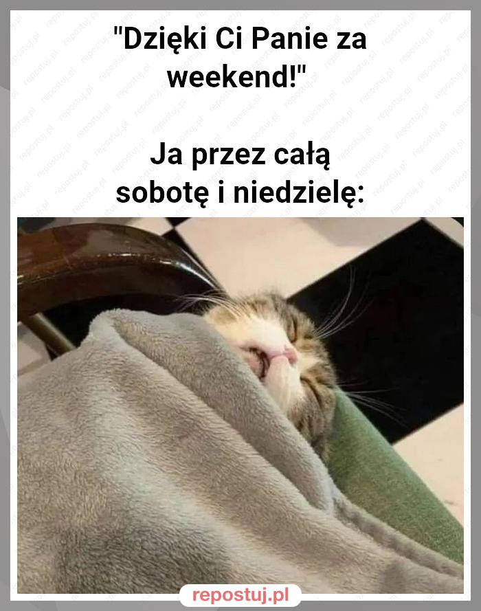 "Dzięki Ci Panie za weekend!"

Ja przez całą sobotę i niedzielę: