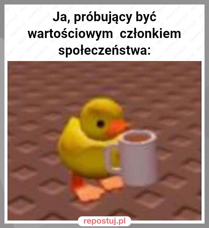 Ja, próbujący być wartościowym  członkiem społeczeństwa: