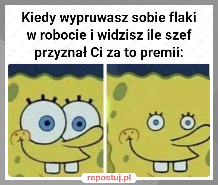 Kiedy wypruwasz sobie flaki w robocie i widzisz ile szef przyznał Ci za to premii: