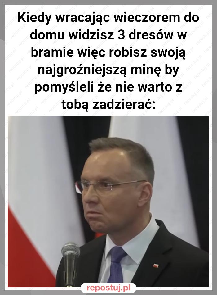 Kiedy wracając wieczorem do domu widzisz 3 dresów w bramie więc robisz swoją najgroźniejszą minę by pomyśleli że nie warto z tobą zadzierać: