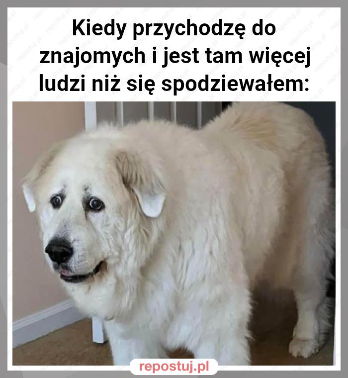 Kiedy przychodzę do znajomych i jest tam więcej ludzi niż się spodziewałem: