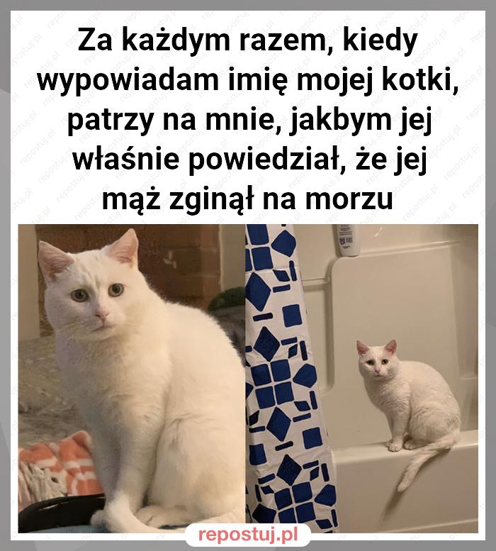 Za każdym razem, kiedy wypowiadam imię mojej kotki, patrzy na mnie, jakbym jej właśnie powiedział, że jej mąż zginął na morzu