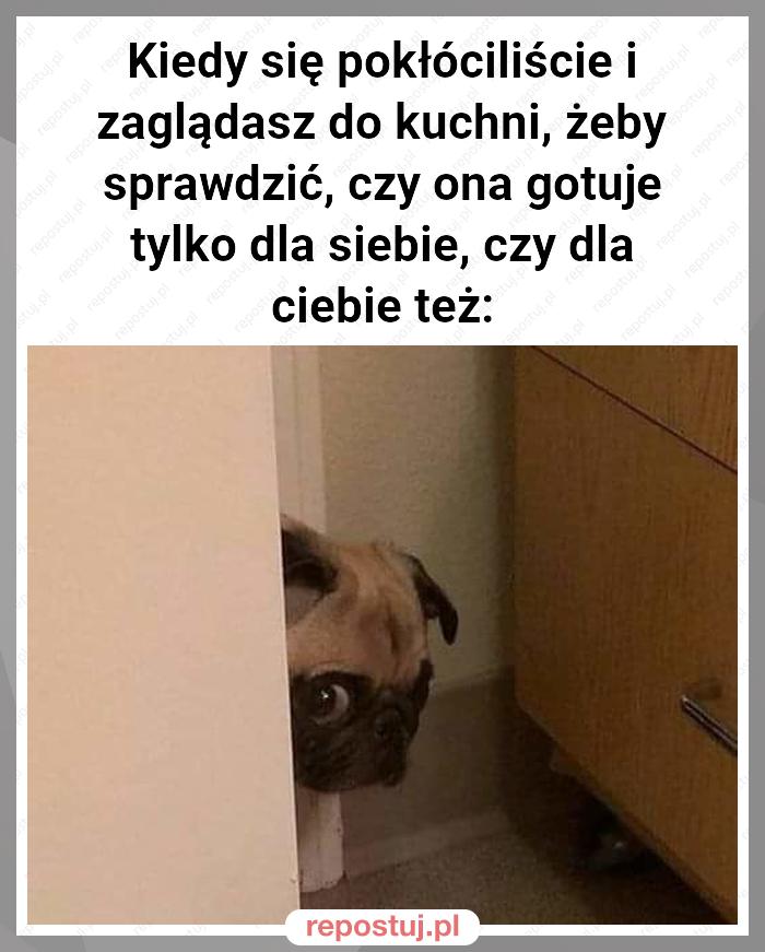 Kiedy się pokłóciliście i zaglądasz do kuchni, żeby sprawdzić, czy ona gotuje tylko dla siebie, czy dla ciebie też: