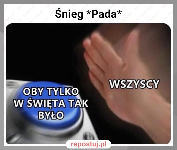 Śnieg *Pada*