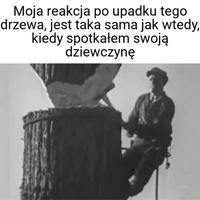 Reakcja