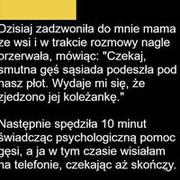 Życie na wsi :)