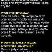 Pracownik fizyczny vs pracownik umysłowy